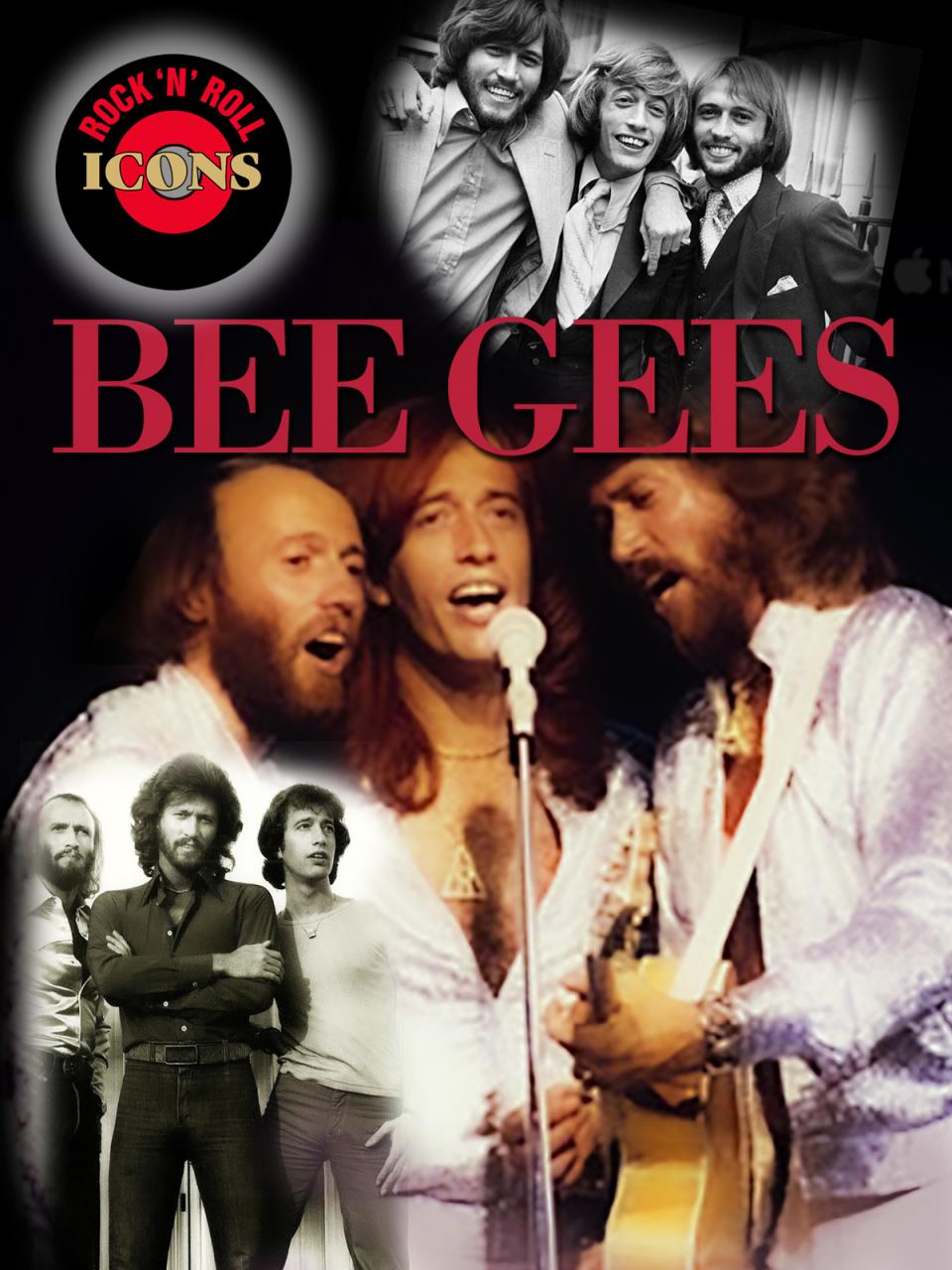 Rock Icons: Bee Gees